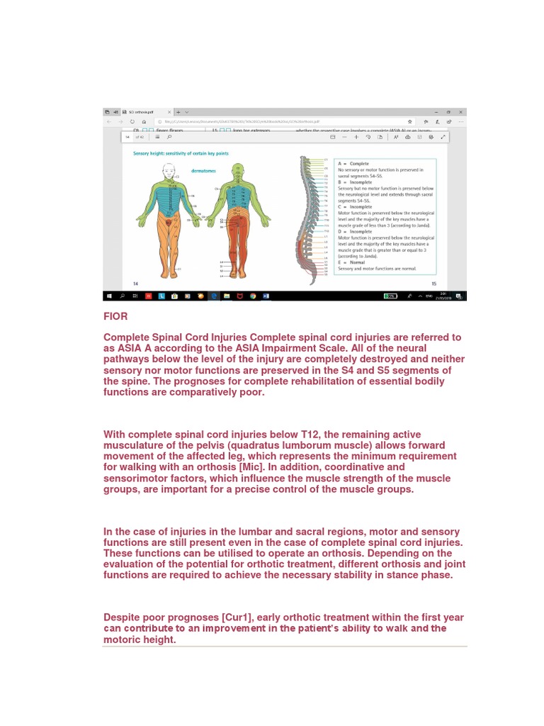 ASIA Classification of Spinal Cord Injury | PDF | Spinal Cord Injury ...