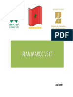 Hajjaji_Plan_Maroc_Vert_Strategie.pdf
