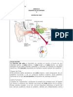 Modulo II Biomedica