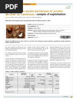 Comptabilité Poulet de Chair