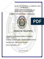 MEDIOS DE TRANSPORTE.docx