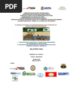 Relatório Final Abaetetuba