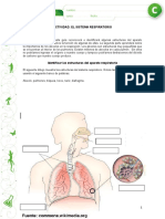 Guia Del Sistema Respiratorio