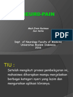 Neuro-Pain MER 2016