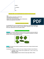 Guia Practica de Propiedades Fisicas 