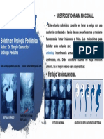 Boletín en Urología Pediátrica. Dr. Sergio Camacho / Urólogo Pediatra