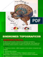 Sindromes Topograficos