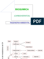 Carbohidratos Metabolismo