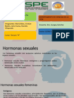 Grupo2 Hormonas Sexuales.