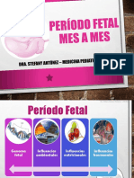 P1S CRED Crecimiento Fetal