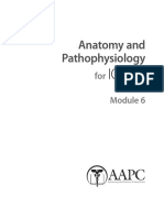Anatomy and Pathophysiology