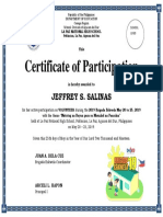 Certificate of Participation (Volunteer)