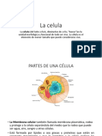 Plan de Tutoria 1B