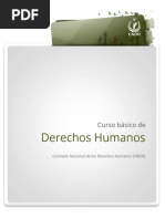 Curso Básico Derechos Humanos