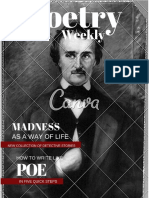 poe mag cover doc