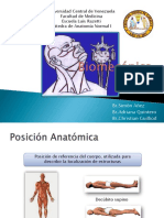 Biomecánica (Posiciones, Planos, Ejes, Movimientos y Articulaciones)