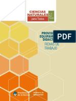 Fichas de Trabajo 1 PDF