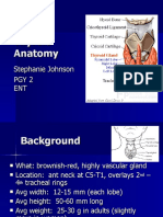 Thyroid Anatomy2