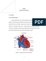 anatomi jantung.pdf