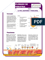 Anatomia y Fisiologia de La Piel