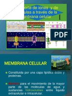 Transporte de Iones y de Moleculas A Traves de La Membrana Celular