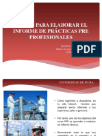 Pautas para Elaborar El Informe PPP