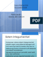 3.sistem Integumentari