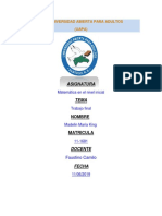 Trabajo Final Matematica