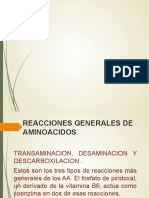 PPT BIOQUIMICA.odp