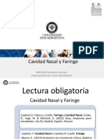 Clase 11 Organos Cervicales I (Cavidad Nasal y Faringe) - DBIO1050