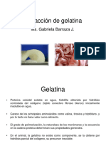 Extracción de Gelatina PDF