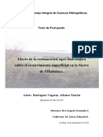 Efecto de La Restauración Agro Hidrologica Sobre Escurrimiento Cuenca Pillahuico