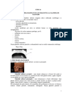 12-EXPLORAREA-RADIOLOGICA-SI-IMAGISTICA-.doc