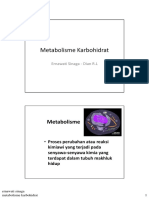 10_RET_ biokim-metabolisme-karbohidrat-2010.pdf