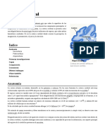 Corteza_cerebral.pdf