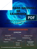 5ta Semana