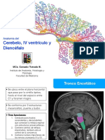 Preguntas en La Entrevista Psicologica PDF