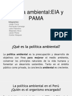 Política Ambiental - EIA y PAMA