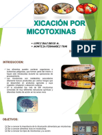 Intoxicación Por Micotoxinas 