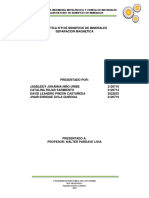 SEPARACION-MAGNETICA-pdf.pdf