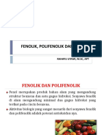 Fenolik, Polifenolik Dan Tannin: Rahayu Utami, M.SC, Apt