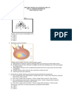 Instrumen Evaluasi (Soal Hots) KD 3.8 - Sistem Respirasi-Klp 3 Haf