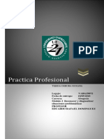 PRACTICA PROFESIONAL - Actividad 2