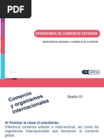 Operatoria de Comercio de Exterior PDF