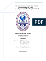 Informe Biogas Correcto