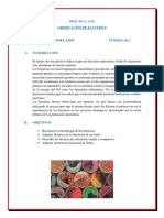 MICROBIOLOGIA Nº 03.docx