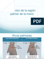 Irrigación de La Región Palmar