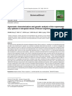 Agronomic Characterization and Genetic Analysis of The Supernumerary Spikelt in Tetraploid Wheat