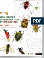 Cahier Insecte