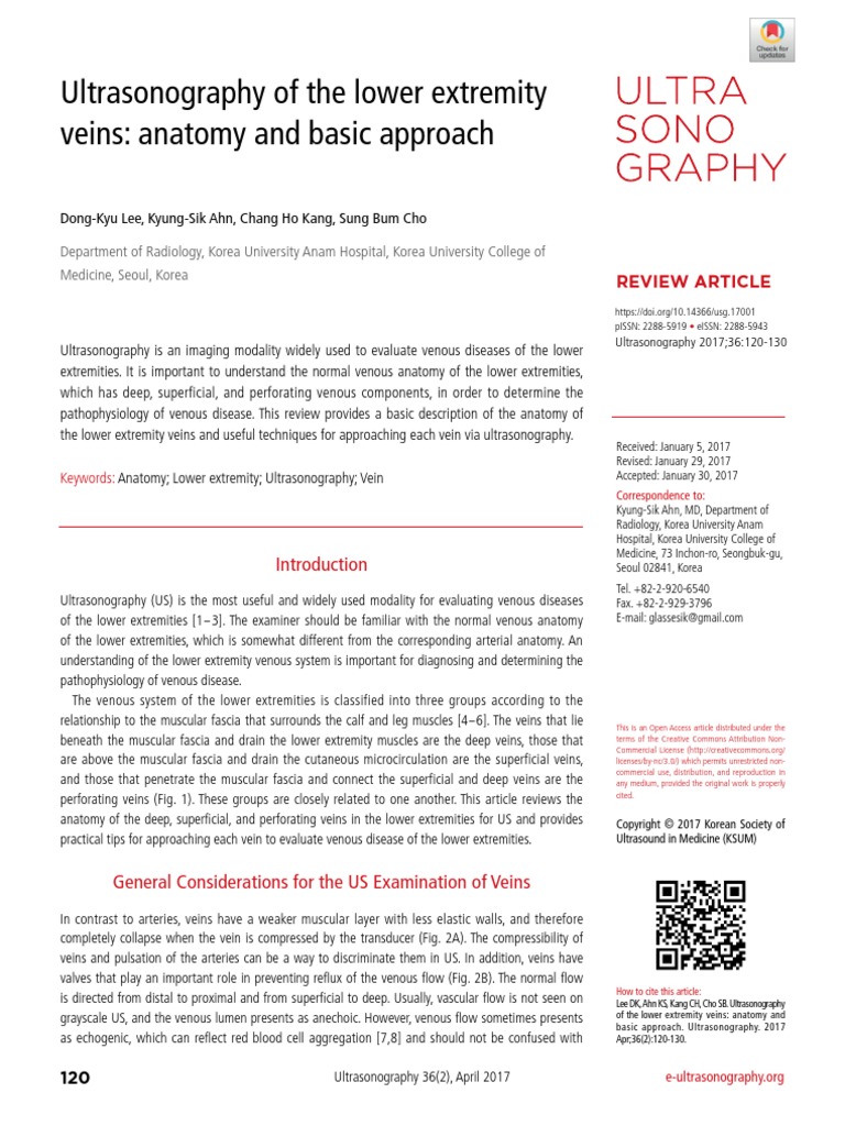 Ultrasonography of The Lower Extremity Veins: Anatomy and Basic ...